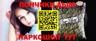 шишки Новозыбков